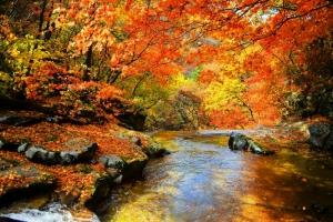 Ngọn núi đẹp nhất Hàn Quốc vào mùa thu đông