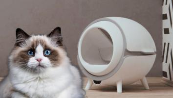 Nhà vệ sinh thông minh cho thú cưng tốt nhất hiện nay