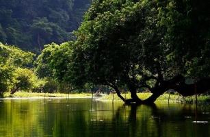 Địa điểm bạn nên đặt chân đến ở Bắc Kạn để có một chuyến đi ý nghĩa