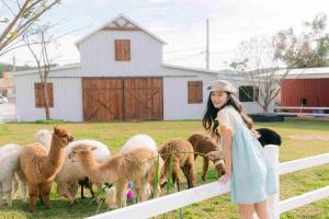 Nông trại đẹp, nổi tiếng nhất tại TP. Đà Lạt, Lâm Đồng