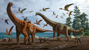 Thông tin thú vị nhất về loài khủng long cổ dài