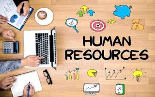 Phần mềm quản lí nhân sự hữu ích nhất hiện nay