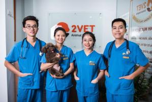 Dịch vụ tư vấn dinh dưỡng cho thú cưng tại Hà Nội