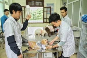 Phòng khám thú y uy tín nhất tại TP. Quy Nhơn, Bình Định