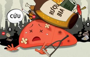 Sản phẩm giải độc gan do tác hại của bia rượu tốt nhất trên thị trường