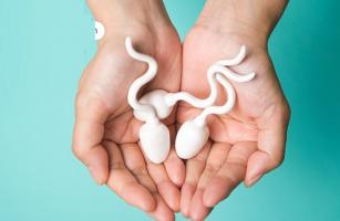 Sản phẩm tốt cho tinh trùng tốt nhất hiện nay