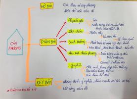 Sơ đồ tư duy bài văn miêu tả cho học sinh tiểu học chi tiết nhất