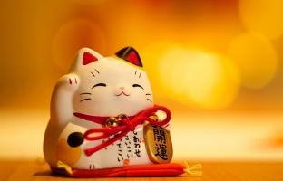 Sự thật thú vị về mèo thần tài Nhật Bản (Maneki Neko)
