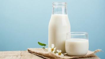 Sữa dành cho bệnh nhân đau dạ dày tốt nhất hiện nay