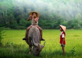 Bài cảm âm sáo trúc hay nhất về quê hương