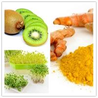 Thực phẩm tốt cho sức khỏe ngon nhất vào mùa mưa