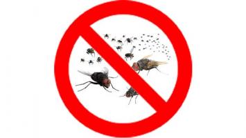 Thuốc diệt ruồi hiệu quả nhất