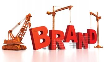 Nhãn hiệu giấy vệ sinh tốt nhất trên thị trường Việt Nam