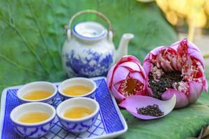 Thương hiệu trà sen tốt cho sức khỏe được yêu thích nhất