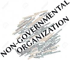 Tổ chức phi chính phủ dành cho giới trẻ mà bạn nên tham gia