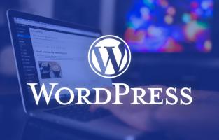 Trung tâm đào tạo thiết kế website bằng WordPress tốt nhất hiện nay
