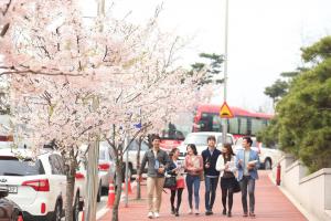 Trung tâm học tiếng Hàn tốt nhất tại An Giang