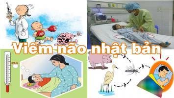 Lưu ý quan trọng nhất về bệnh viêm não Nhật Bản