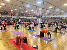 Trung tâm dạy Yoga uy tín nhất quận 8, TP. HCM