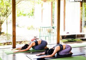 Trung tâm dạy Yoga uy tín nhất tại quận Tân Phú, TP. HCM