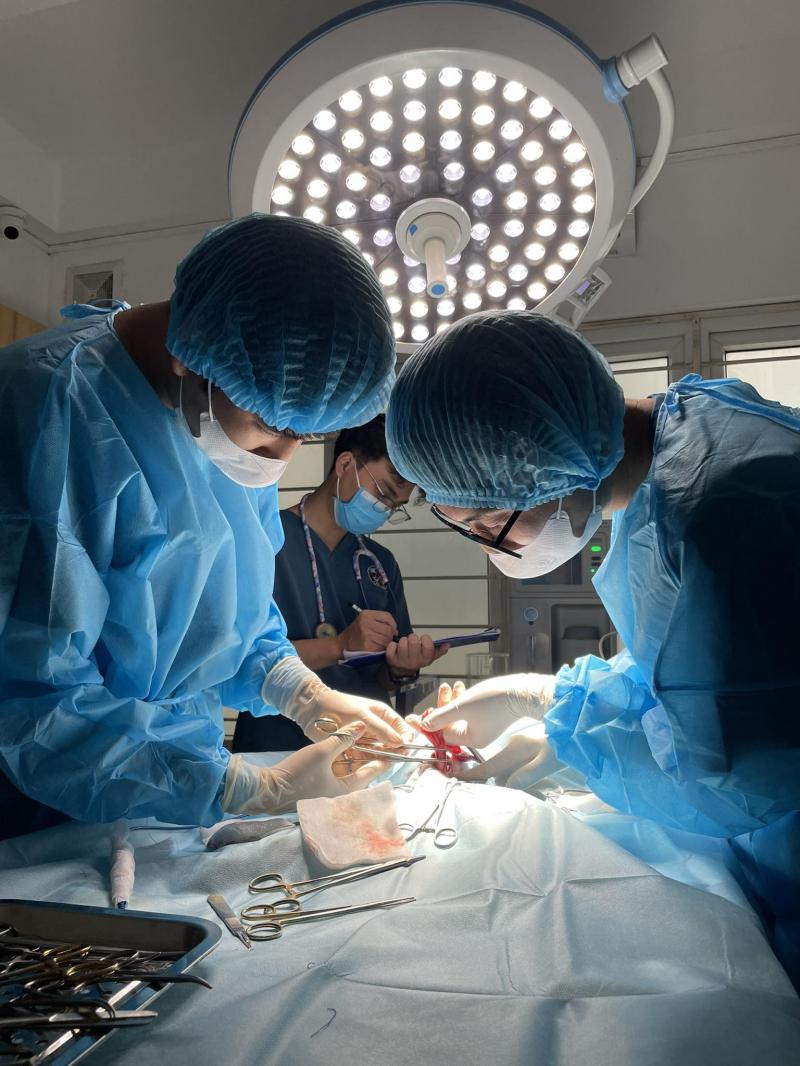 Bệnh viện Thú y Pet One Cầu Giấy