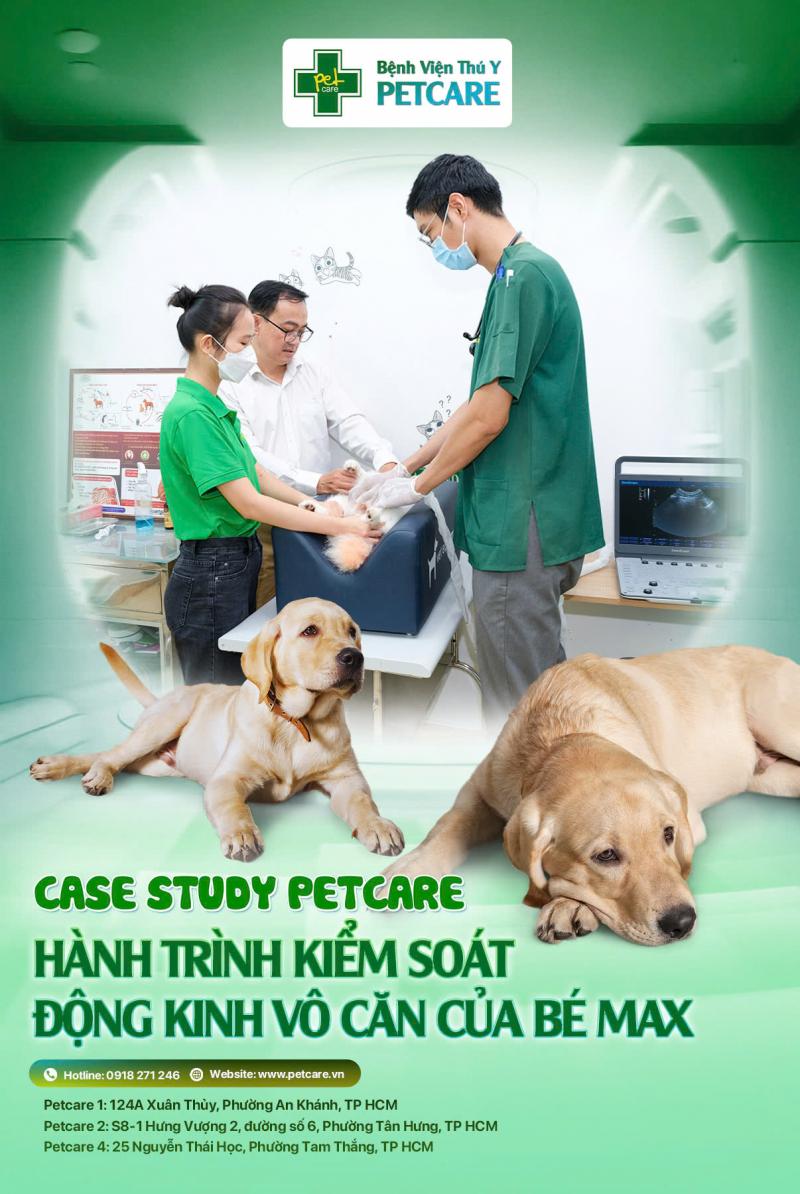 Bệnh viện thú y Petcare