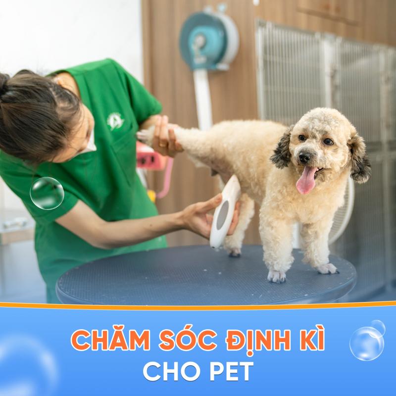 Bệnh Viện Thú Y Pethealth Cầu Giấy