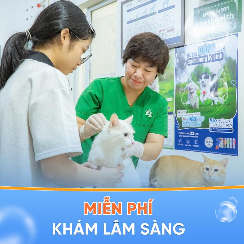 Bệnh Viện Thú Y Pethealth Cầu Giấy