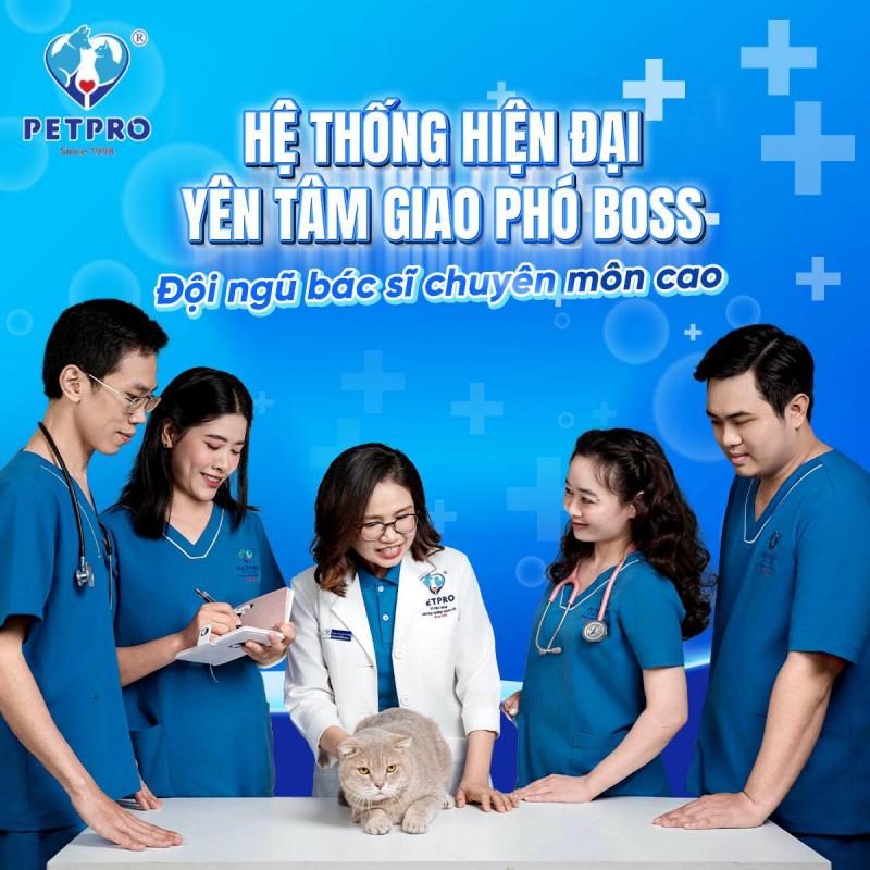 Bệnh  Viện Thú Y Pet - Pro