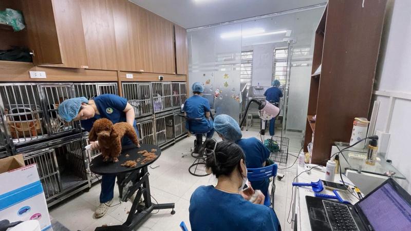 Bệnh Viện Thú Y Tropicpet Cầu Giấy