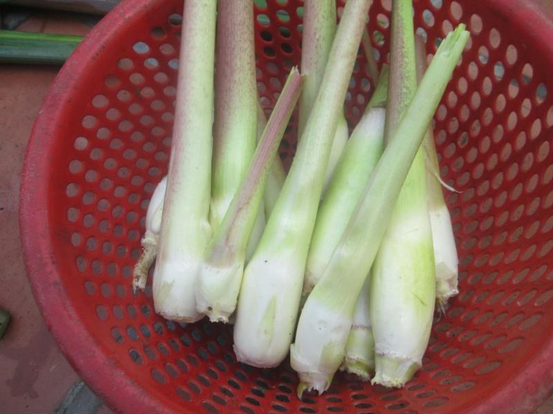 Củ niễng xào tôm