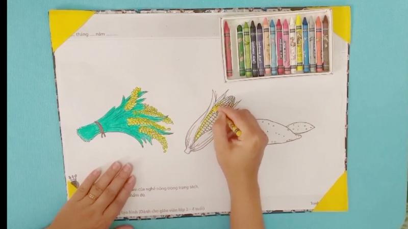 giáo án tô màu sản phẩm nghề nông - mẫu 1