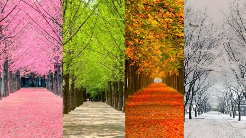 Giáo án trò chuyện các mùa trong năm - mẫu 1