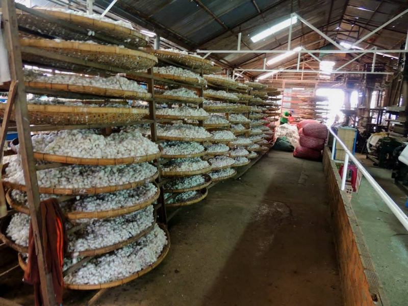 Cơ sở sản xuất lụa tơ tằm tại Đà Lạt.