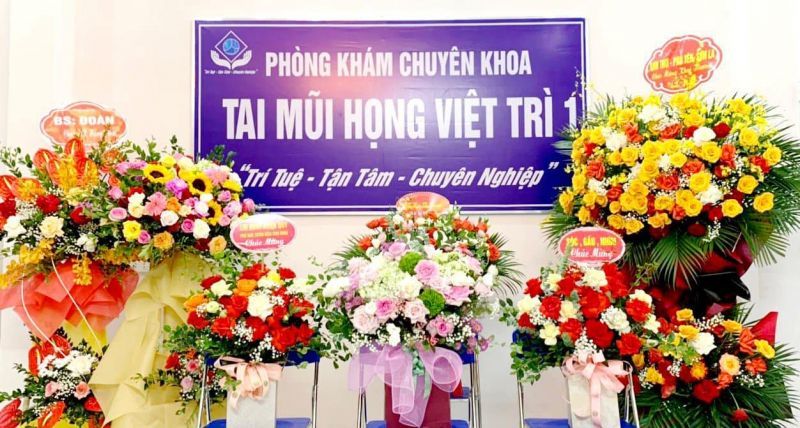 Phòng khám Chuyên khoa Tai Mũi Họng Việt Trì 1