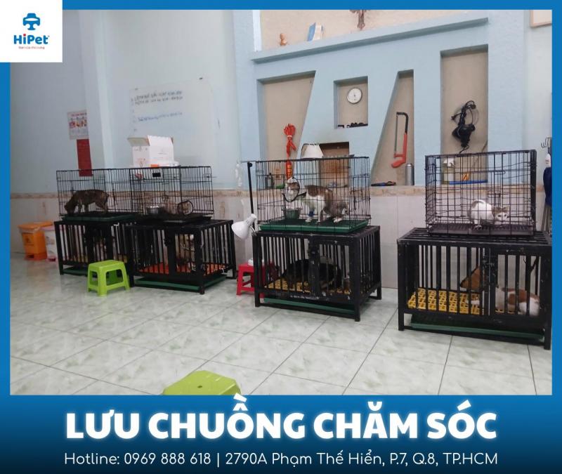 Phòng khám thú y HiPet