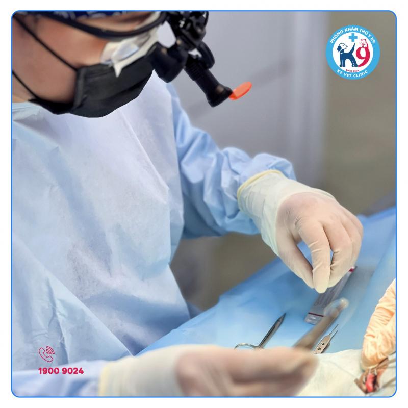 Phòng khám thú y K9