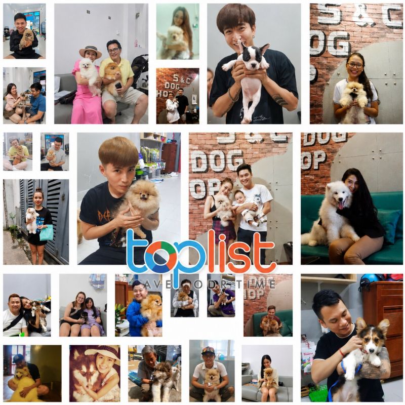 SC DOG SHOP – Trung tâm huấn luyện chó thực tế, tận tâm tại TPHCM