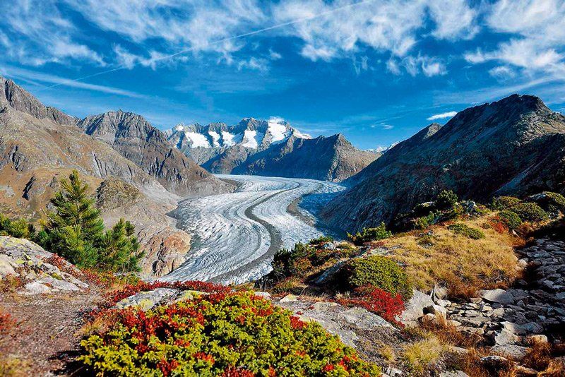 Sông băng Aletsch