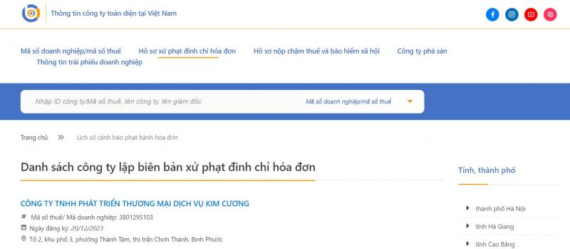 vietnamcompanycheck.com