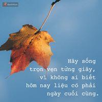 Dinh Thuy Ha